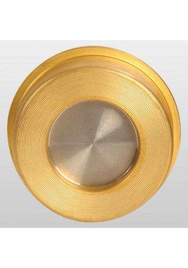 Dn40 Prinç Disko Çekvalf Ayvaz