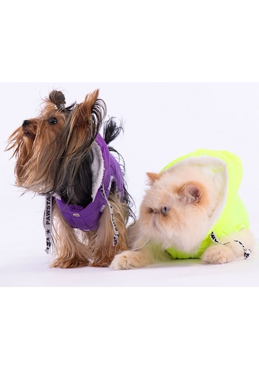 Pawstar Mor Railway Anorak Yelek Köpek Yeleği