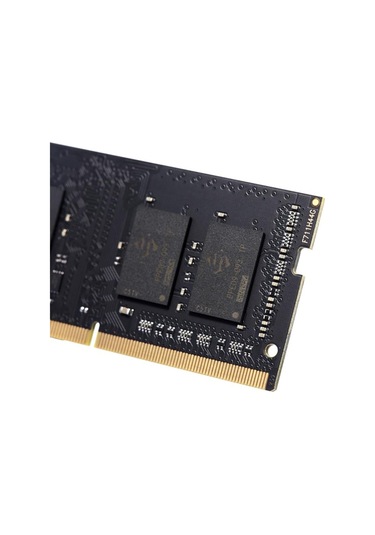 Vaseky 8 GB DDR3L 1600 MHz Notebook Ram