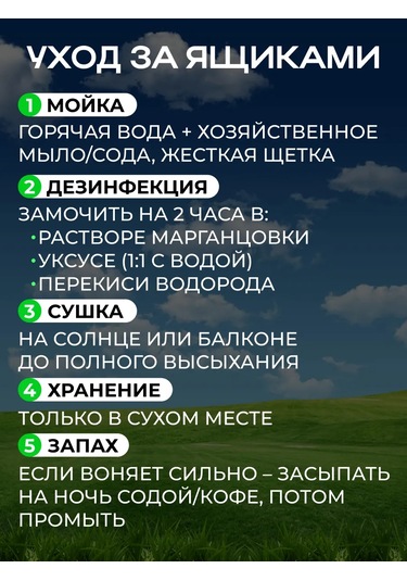 Sadovita Fide Kutusu 431563697