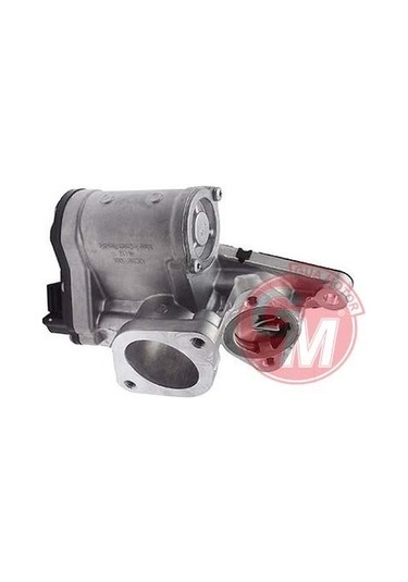 GUA 41137 EGR VALFİ RENAULT LAGUNA II-TRAFIC II VIVARO 1.9