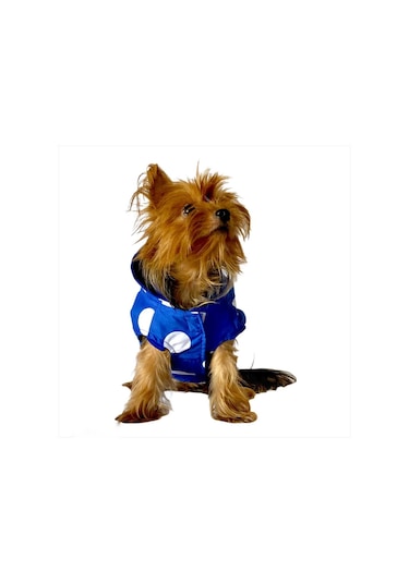 Kemique Mega Dots Blue Kapşonlu Köpek Yağmurluğu