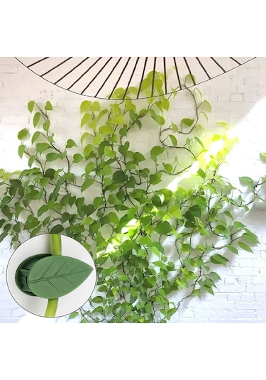 Lebihmurah 2973 Bitki Tırmanma Duvarı Armatür Klipsleri Görünmez Duvar Sarmaşıkları Sabitleme Klipsleri