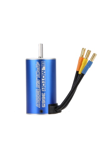 Tenfowee 3665 Tipi 3100kv 4 Kutup Sürekli Manyetik Motor - Yüksek Tork, Yüksek Verim, Araba & Bot Uyumlu