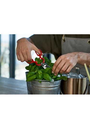Zwilling Kitchen Shears Çok Amaçlı Makas, Paslanmaz Çelik, Kırmız