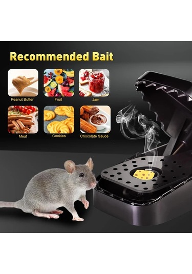 Willowhaven 4 Adet Hafif Temasız Fare Kapanı Ev Apartman Yurt İçin Hızlı Güvenli