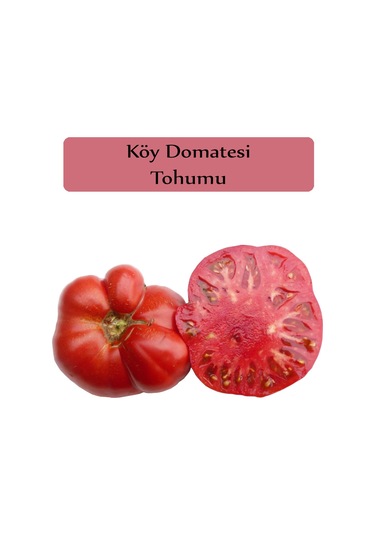 Köy Domatesi Tohumu 1 Paket 3GR=850+ Adet Domates Tohumu