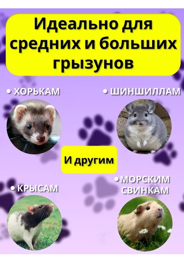 Petipet Kemirgenler Ve Sıçanlar İçin Çift Katlı Kafesli Hamak 201624589