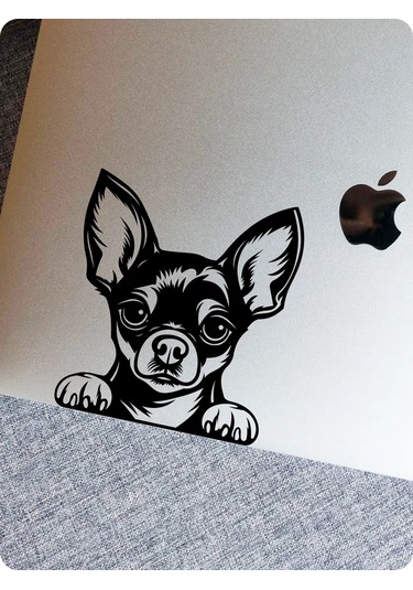 Stadi Dikkat Eden Köpek Etiketi 201967031 Siyah