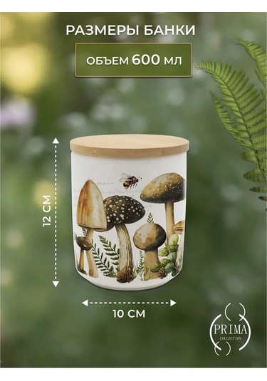 Prıma Collectıon Dökme Ürünler İçin Mantarları Bilgi Bankası 600 Ml 385475937