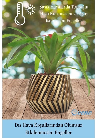 Saksı Çiçek Kaktüs Saksısı Lüx 13 Cm Mekanik Dişli Desen Saksı Çiçeklik - Altın Eskitme