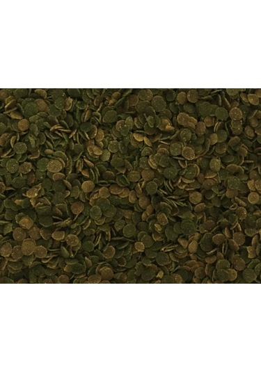 Lotus Protect Algae Garlic Kova Balık Yemi 2400 G