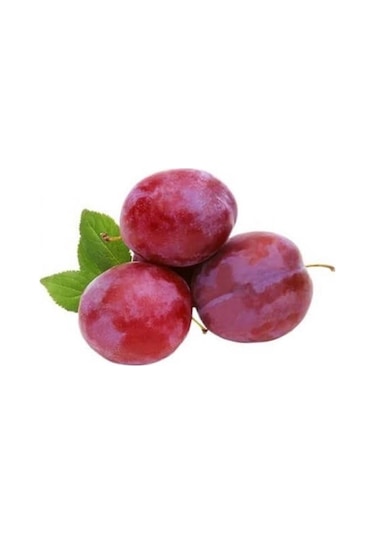 Erik Kırmızı Pembe 500 Gr