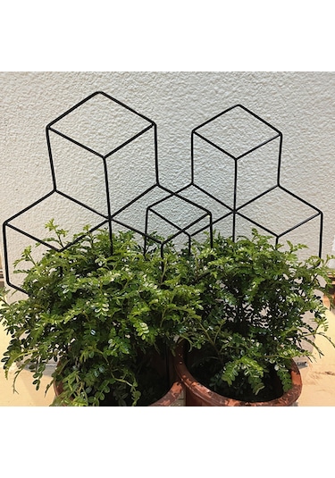 Lebihmurah 2925 Bitkiler Destek Çerçevesi Paslanmaz Saksı Bitki Tırmanma Asma Rafı