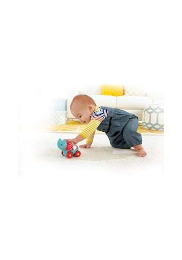 Fisher Price Poppity Araçlar - Mavi Fil Cmv98