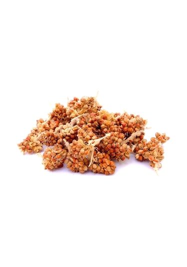 Kızıl Dal Darı Tanesi̇ 500 Gr Pani̇cum