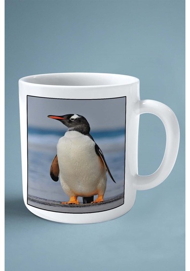 Penguen Baskılı Kupa Bardak Çift Taraflı Kişiye Özel Çerçeveli Renkli Model 4 Çok Renkli