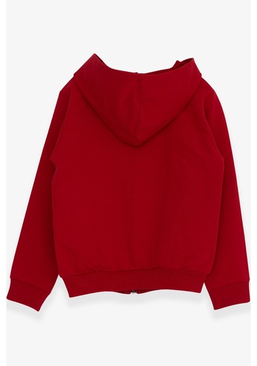 Breeze Erkek Çocuk Hırka Kaykaylı Dinozor Baskılı 1-4 Yaş, Kırmızı