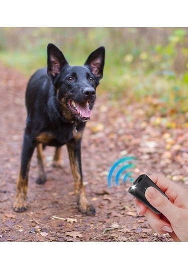 Lichen Ultrasonik Köpek Kovucu Taşınabilir Köpek Eğitmeni Barker