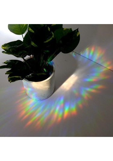 Şık Pencere Çok Renkli Şeffaf Etiket Rahat Dokunmatik Desen G Diğer