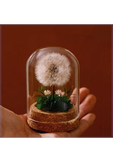 Mantar Tabanlı Sonsuz Karahindiba Cam Kubbe Süsü Kırmızı