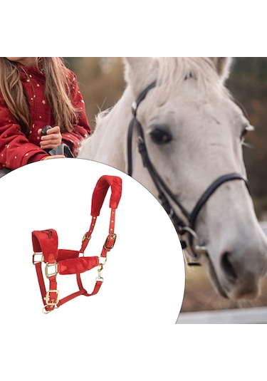 Homyl At Yuları Yastıklı Ayarlanabilir Kırmızı-m Kırmızı M