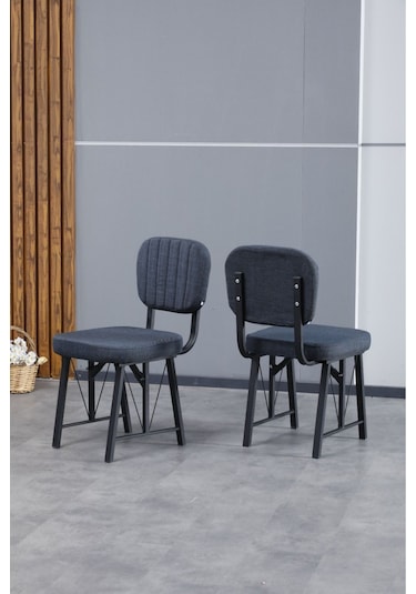 Hayat Serisi Mutfak Sandalyesi, Yemek, Bahçe, Kafe, Modern Sandalye 2 Adet - Lacivert Lacivert