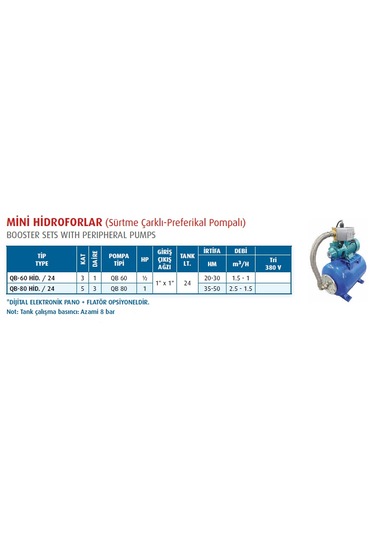 Varan Pompa Qb60 Hid./24 Paket Hidrofor