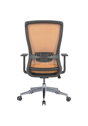 Uzayofismobilyaları Uzay Ofis Dominik Fileli Şef Koltuğu - Sarı