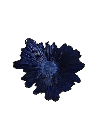 Porland Coralline Kase 31cm Çok Renkli