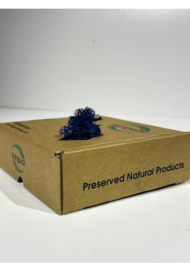 Reindermoss Şoklanmış Norveç Yosunu Terarium Yosunu Mavi 100 Gr.