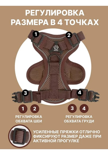 Tori Küçük Ve Orta Irklar İçin Tasmalı Köpek Kayışı Ve Kedi Şeridi 417829533