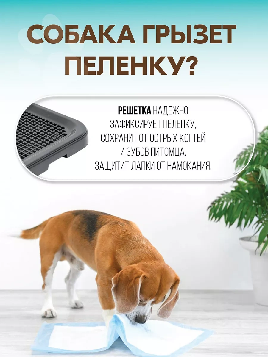 Pettails Köpekler İçin Ped Alttılı 48,5 34 4 Cm Boyutlarında Tuvalet Tablası 243177053