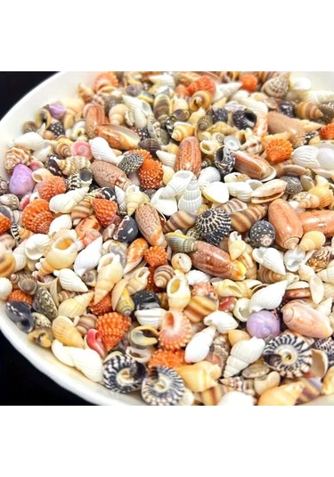 Willowhaven 50g Mini Deniz Kabuğu Kumu - 12 Farklı Renk Dıy El İşi, Akvaryum Dekoru