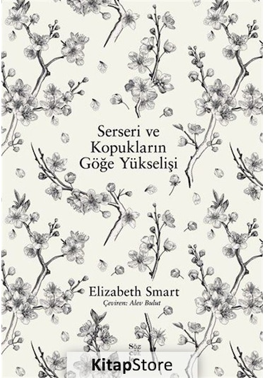 Serseri ve Kopukların Göğe Yükselişi - Elizabeth Smart - Sözcükler