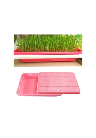 Suntek Tohum Filizleme Tepsisi 2 Katmanlı Mikro Yeşiller Pembe