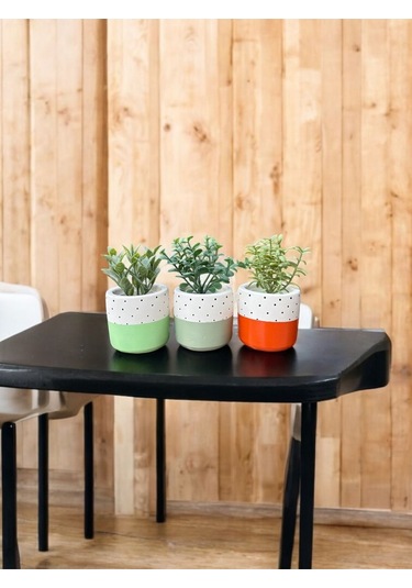 Renkli Saksı Seti Sukulent Kaktüs Dekoratif Eşya- Ev Dekorasyon - Saksı Seti 5