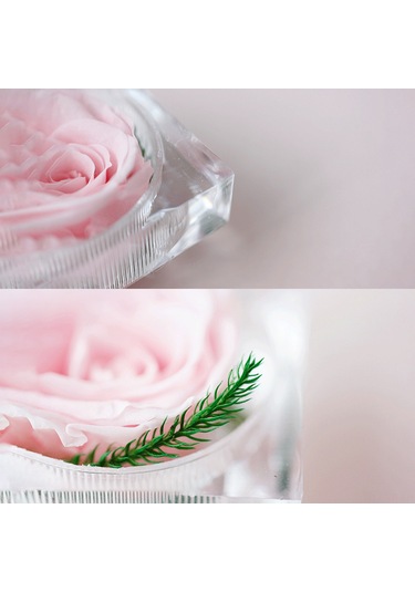 Xiyyadms Sürekli Gül Dekoratif Açık Renkli Ev Ve Partiler İçin Romantik Hediyelik Çiçek Kutusu