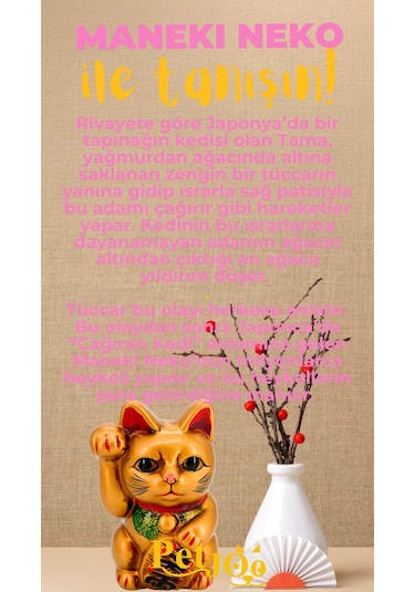 Petjoo 4.Maneki Neko Sarı-Pembe Qr'lı Kedi Künyesi