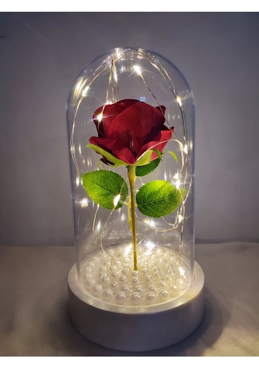 Tek Kırmızı Gül İşıklı Fanus