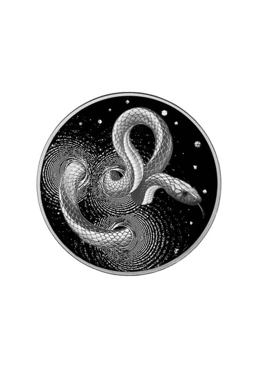 AgaKulche Yılan Gümüş Sikke Coin