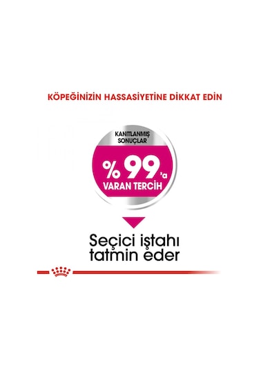 Royal Canin Mini Exigent Küçük Irk Yetişkin Köpek Maması 3 KG