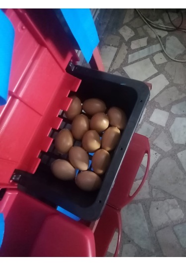 4 Gözlü Derin Hazneli Geniş Sepetli Otomatik  Folluk