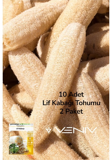 10 Adet Kabak Lifi Tohumu 2 Paket