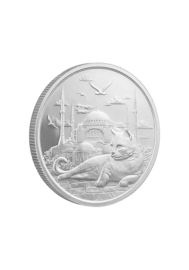 Agakulche İstanbul Kedisi Gümüş Sikke Coin