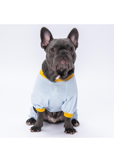 Pettrend Daffy Duck Kedi Köpek Kıyafeti Penye Tulum