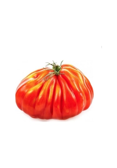İtalyan Pileli Dev Antik Domates 10 Tohum + Tohum
