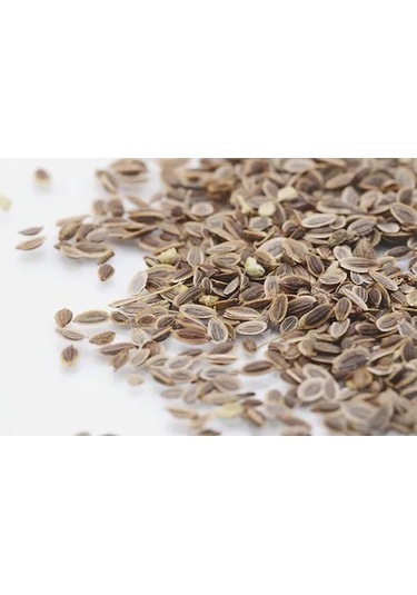 Bol Kokulu Dereotu Tohumu 250