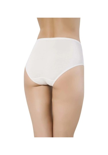 Papatya 2572 Kadın Yüksek Bel Bambu Külot 6 Adet 001