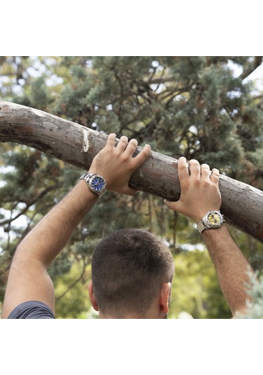 Festına F20743/3 The Orıgınals Erkek Kol Saati Gri